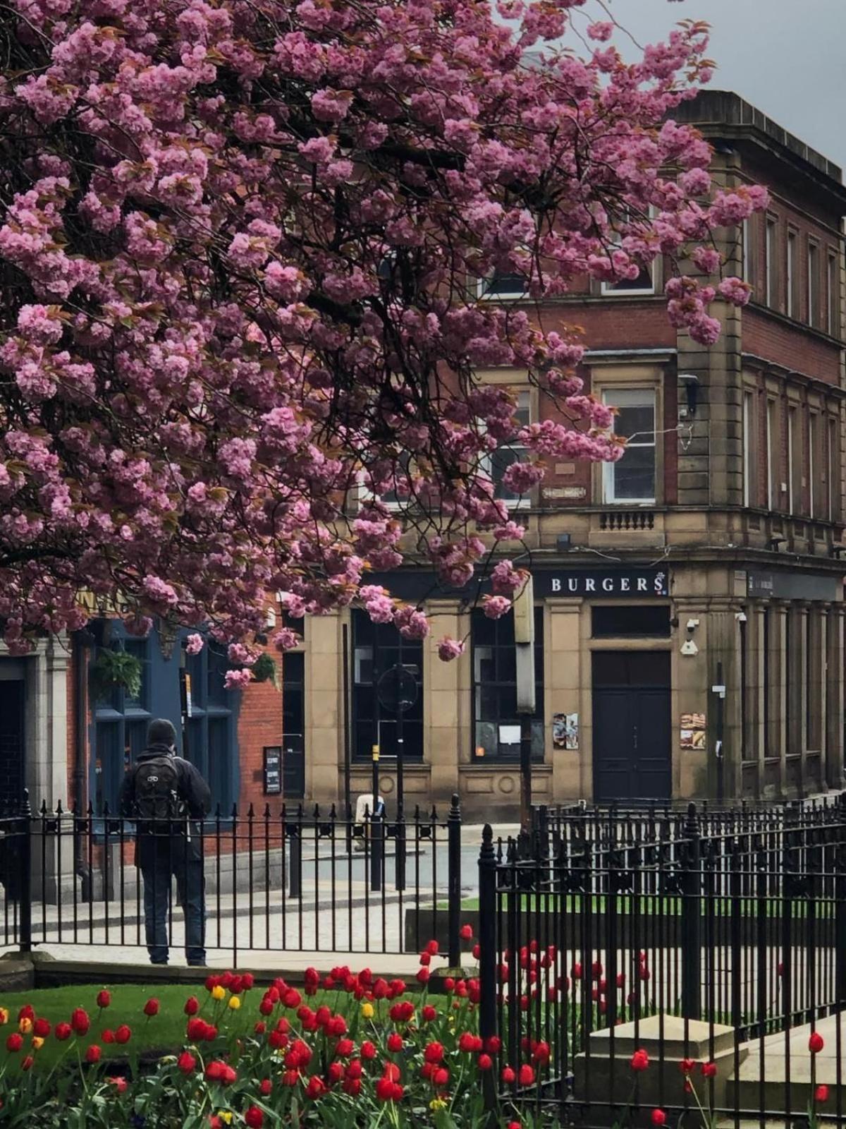 Studio In Bolton Town, Short Stay Studio 2 Luaran gambar